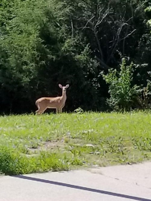 Great Western Inn image 1